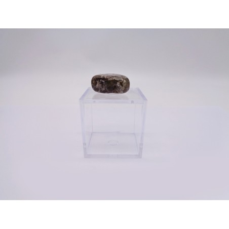 SCATOLINA DEL SEGNO CANCRO