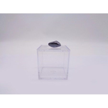 SCATOLINA DEL SEGNO CAPRICORNO