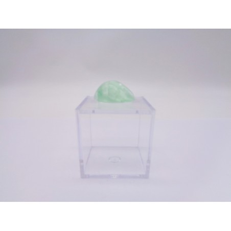 SCATOLINA DEL SEGNO TORO