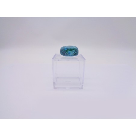 SCATOLINA DEL SEGNO TORO