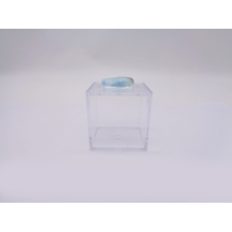 SCATOLINA DEL SEGNO SAGGITTARIO