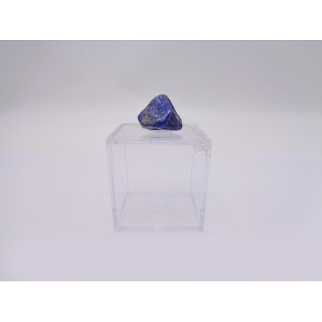 SCATOLINA DEL SEGNO TORO