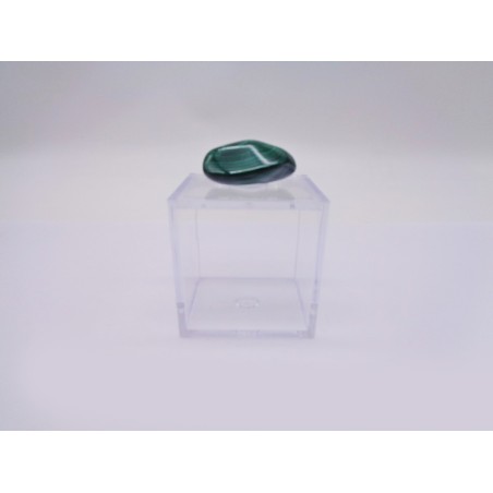 SCATOLINA DEL SEGNO TORO