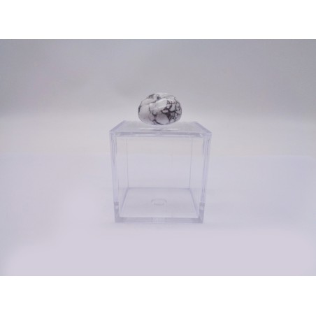 SCATOLINA DEL SEGNO SCORPIONE