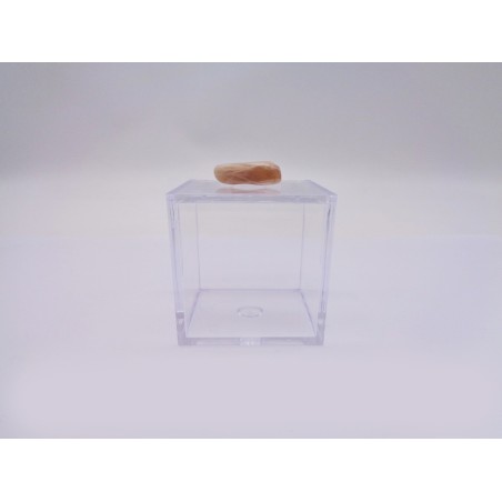 SCATOLINA DEL SEGNO CANCRO