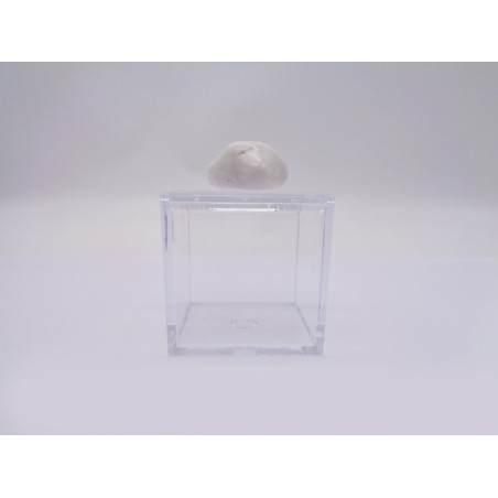 SCATOLINA DEL SEGNO VERGINE