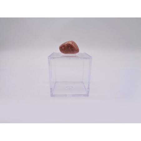 SCATOLINA DEL SEGNO CAPRICORNO