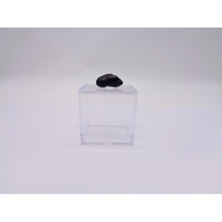 SCATOLINA DEL SEGNO CAPRICORNO