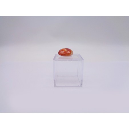 SCATOLINA DE SEGNO ARIETE