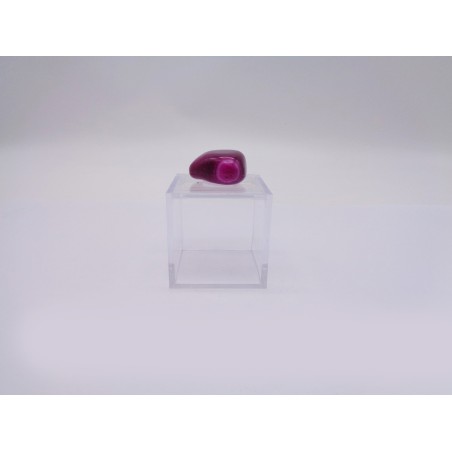 SCATOLINA DEL SEGNO PESCI