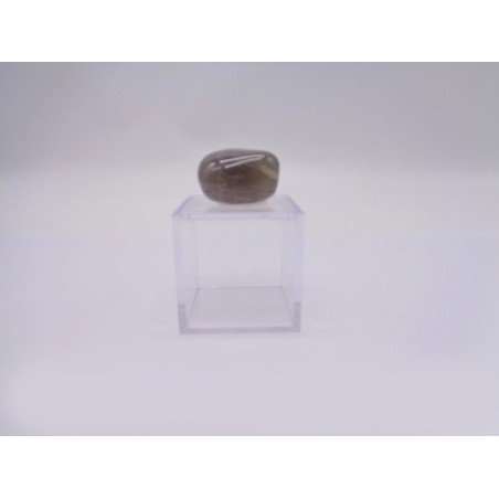 SCATOLINA DEL SEGNO BILANCIA