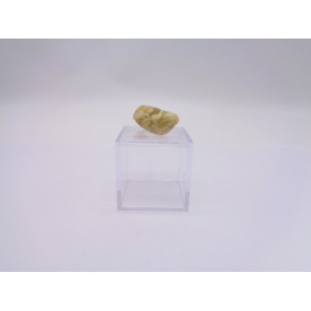 SCATOLINA DEL SEGNO CANCRO