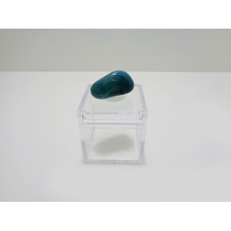 SCATOLINA DEL SEGNO TORO