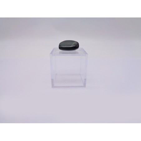 SCATOLINA DEL SEGNO PESCI