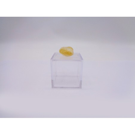 SCATOLINA DEL SEGNO SAGGITTARIO