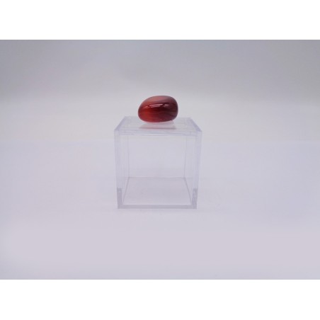 SCATOLINA DEL SEGNO ARIETE