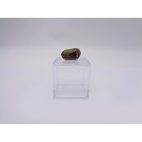 SCATOLINA DEL SEGNO LEONE