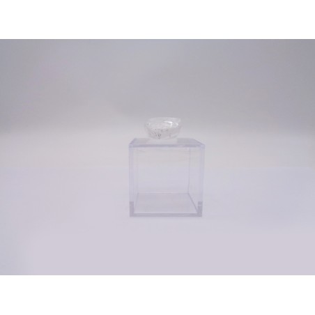 SCATOLINA DEL SEGNO LEONE