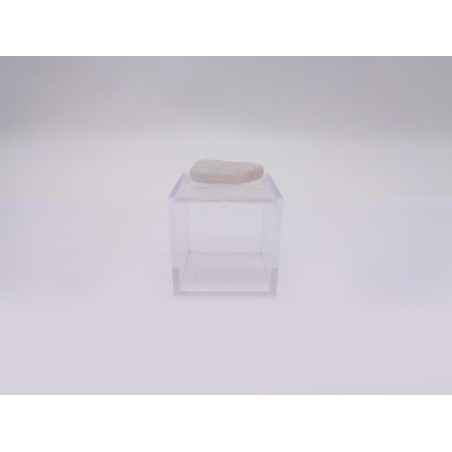 SCATOLINA DEL SEGNO VERGINE