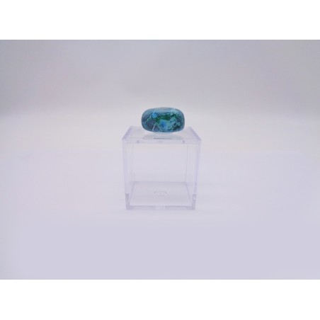 SCATOLINA DEL SEGNO TORO