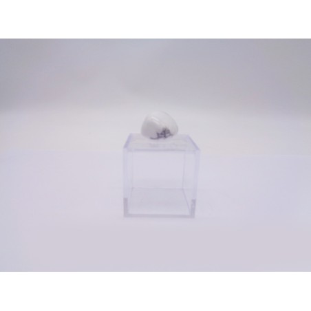 SCATOLINA DEL SEGNO SCORPIONE