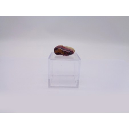 SCATOLINA DEL SEGNO LEONE