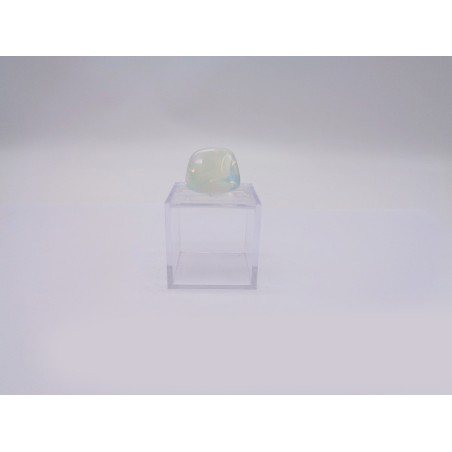 SCATOLINA DEL SEGNO CANCRO