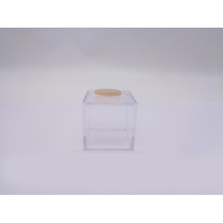 SCATOLINA DEL SEGNO CANCRO