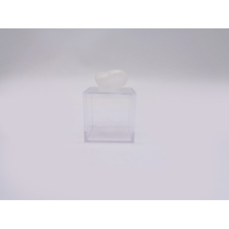 SCATOLINA DEL SEGNO VERGINE