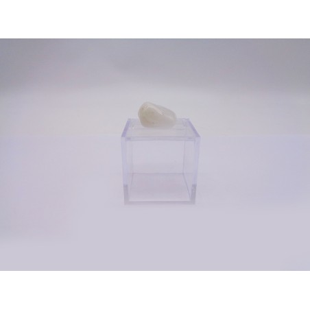 SCATOLINA DEL SEGNO VERGINE