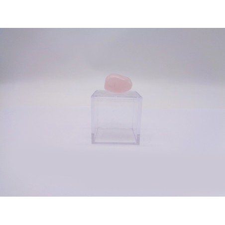 SCATOLINA DEL SEGNO LEONE