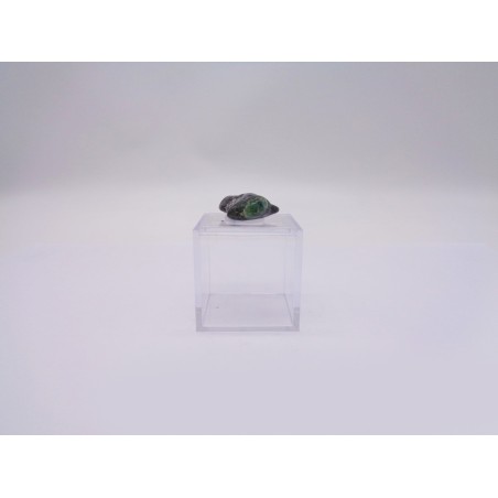 SCATOLINA DEL SEGNO TORO