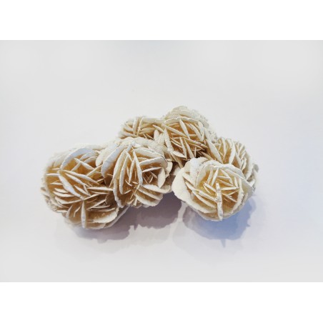 MINERALE ROSA DEL DESERTO