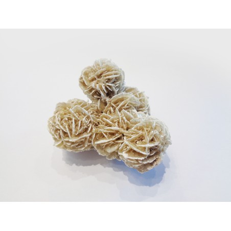 MINERALE ROSA DEL DESERTO