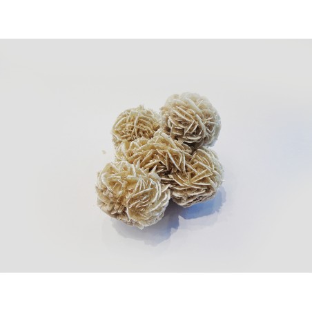 MINERALE ROSA DEL DESERTO