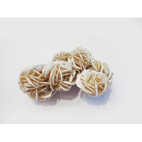 MINERALE ROSA DEL DESERTO