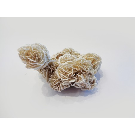 MINERALE ROSA DEL DESERTO