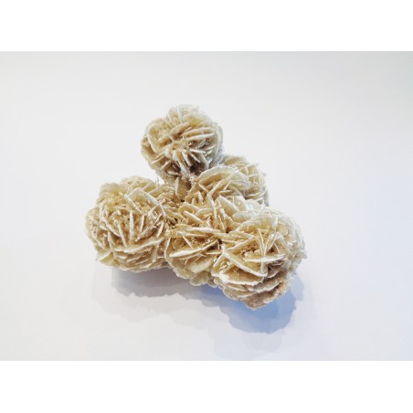 MINERALE ROSA DEL DESERTO