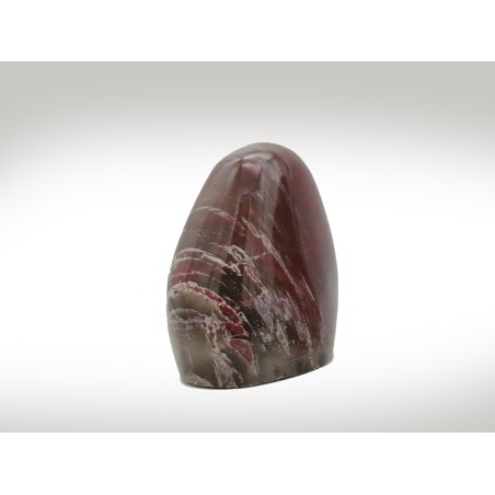 MONOLITE LEGNO FOSSILE