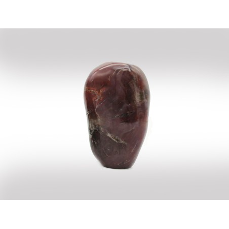 MONOLITE LEGNO FOSSILE