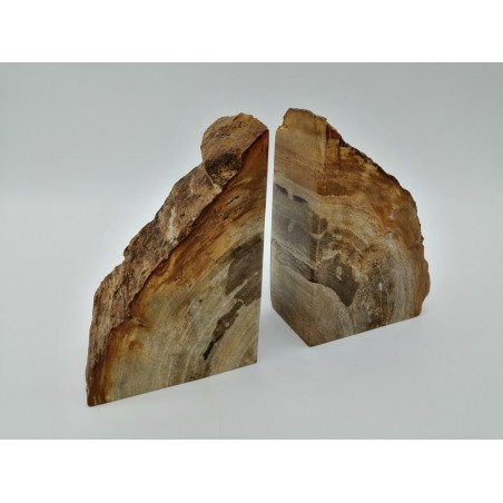 COPPIA DI FERMALIBRI IN LEGNO FOSSILE