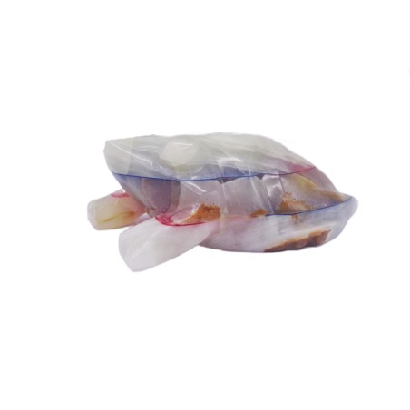 RANA IN ONICE VARI COLORI