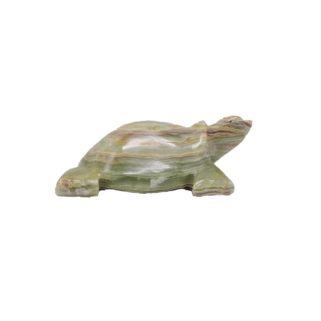 TARTARUGA IN ONICE VERDE