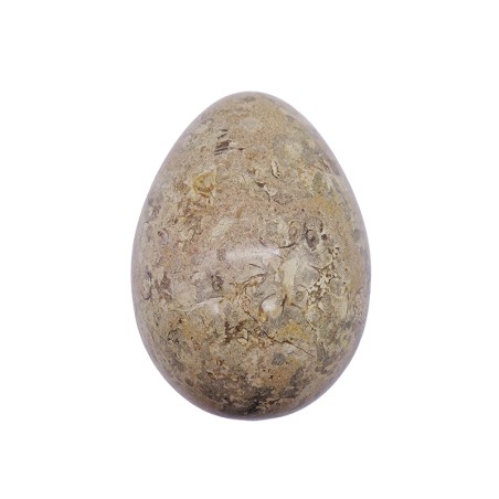 UOVO IN PIETRA FOSSILE