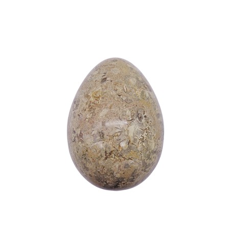 UOVO IN PIETRA FOSSILE