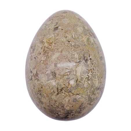 UOVO PIETRA FOSSILE