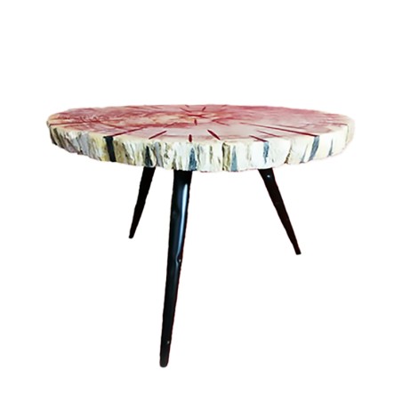 TAVOLINO IN LEGNO FOSSILE