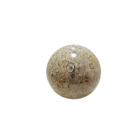SFERA IN PIETRA FOSSILE