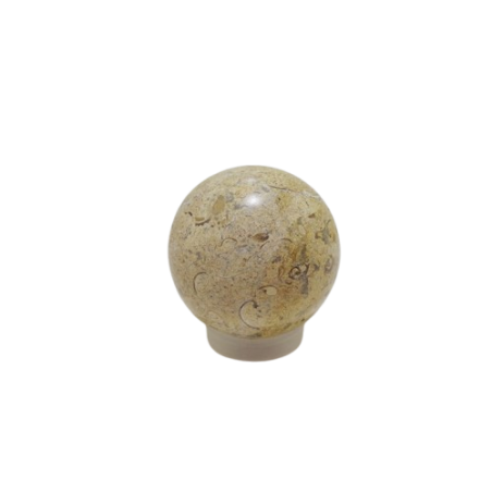 SFERA IN PIETRA FOSSILE