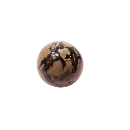 SFERA DECORATIVA IN  SEPTARIA